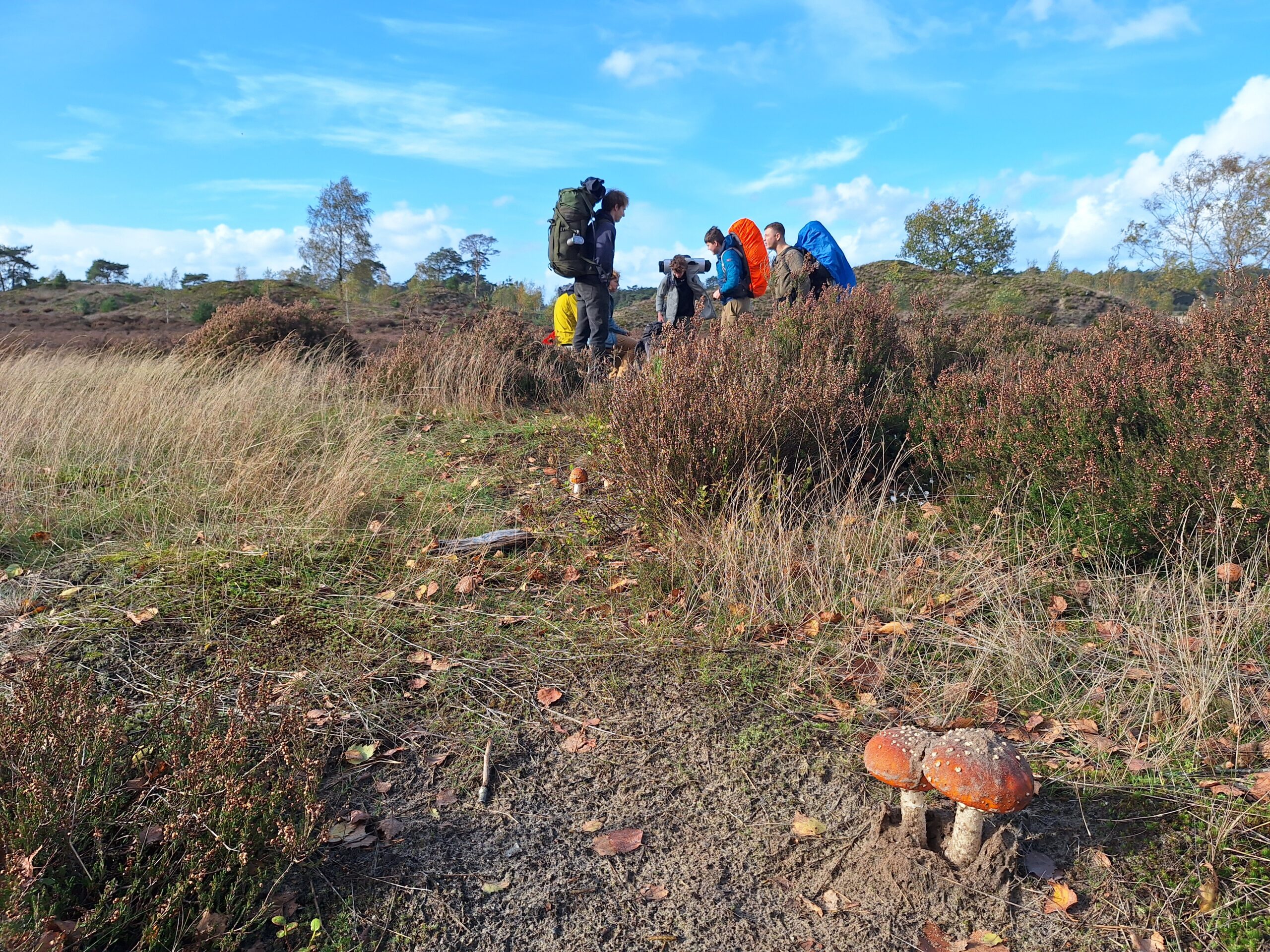 Aanmelding dodenherdenking 2026
